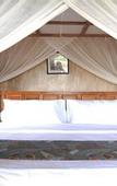 Туры в отель Three Monkeys Villas