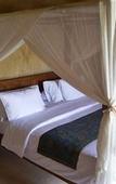 Туры в отель Three Monkeys Villas