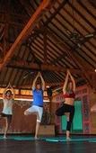 Туры в отель Three Monkeys Villas