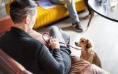 Туры в отель The Social Hub Rotterdam