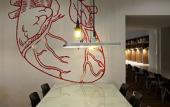 Туры в отель The Social Hub Rotterdam