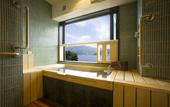 Туры в отель Fuji Lake Hotel