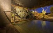 Туры в отель Fuji Lake Hotel