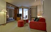 Туры в отель Fuji Premium Resort