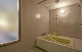 Туры в отель Fuji Premium Resort