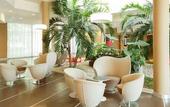 Туры в отель The Sydney Hotel