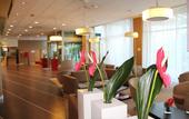 Туры в отель The Sydney Hotel