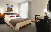 Туры в отель LP Los Portales Hotel Cusco