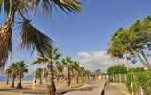 Туры в отель Hotel Mediterranee by Mileade