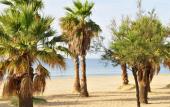 Туры в отель Hotel Mediterranee by Mileade