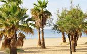 Туры в отель Hotel Mediterranee by Mileade