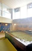 Туры в отель Hotel Sanrakuso