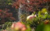 Туры в отель Four Seasons Hotel Hangzhou at West Lake
