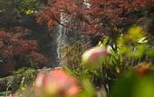Туры в отель Four Seasons Hotel Hangzhou at West Lake