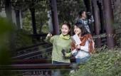 Туры в отель Four Seasons Hotel Hangzhou at West Lake