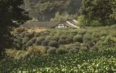 Туры в отель Four Seasons Hotel Hangzhou at West Lake
