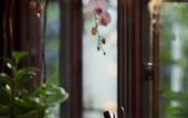Туры в отель Four Seasons Hotel Hangzhou at West Lake