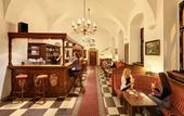 Туры в отель Hotel Ruze & Wellness