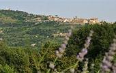 Туры в отель Hotel San Michele