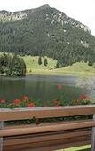 Туры в отель Arabella Alpenhotel am Spitzingsee, a Tribute Portfolio Hotel