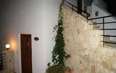 Туры в отель Amazones Village Suites