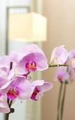 Туры в отель Four Points Flex by Sheraton Koblenz