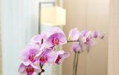 Туры в отель Four Points Flex by Sheraton Koblenz