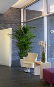 Туры в отель Four Points Flex by Sheraton Koblenz