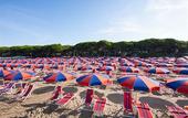 Туры в отель Hotel La Pineta