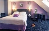 Туры в отель Mercure Bords De Loire Saumur