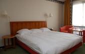 Туры в отель Hotel Theater Figi
