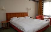 Туры в отель Hotel Theater Figi