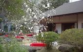 Туры в отель Arai Ryokan
