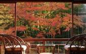 Туры в отель Arai Ryokan