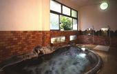 Туры в отель Arai Ryokan