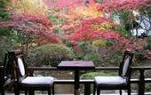 Туры в отель Arai Ryokan