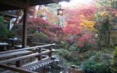 Туры в отель Arai Ryokan
