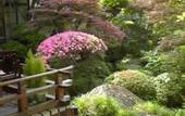 Туры в отель Arai Ryokan