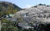 Туры в отель Arai Ryokan