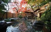Туры в отель Arai Ryokan