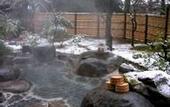 Туры в отель Arai Ryokan