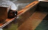 Туры в отель Arai Ryokan