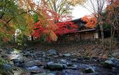 Туры в отель Arai Ryokan