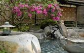 Туры в отель Arai Ryokan