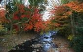 Туры в отель Arai Ryokan