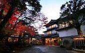 Туры в отель Arai Ryokan