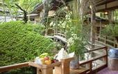 Туры в отель Arai Ryokan