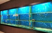 Туры в отель Kinta Riverfront Hotel & Suites