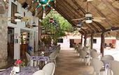 Туры в отель Hotel DORALBA INN Chichen