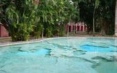 Туры в отель Hotel DORALBA INN Chichen